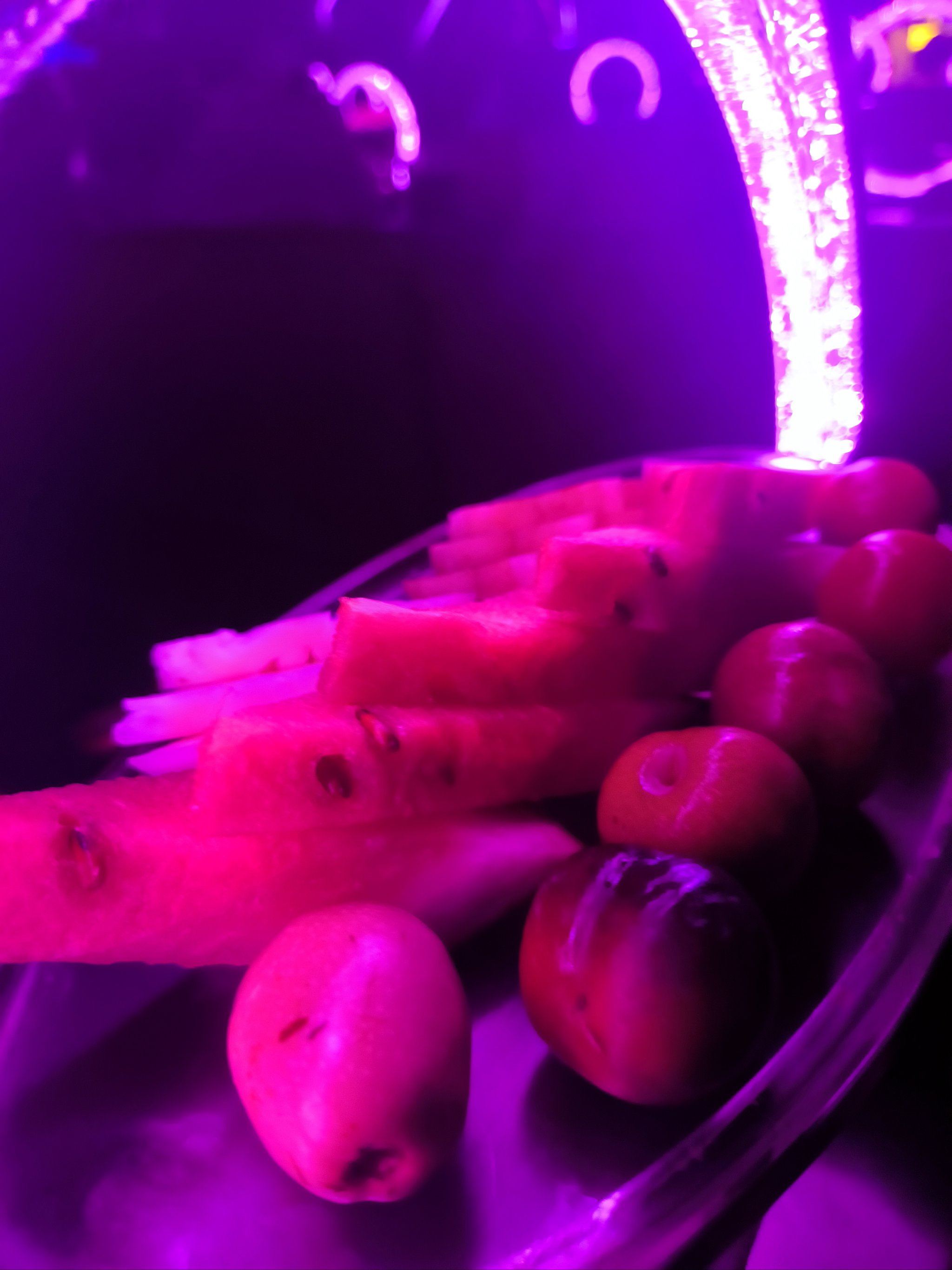 乐山商务KTV：商务场合的理想选择-金口河区ktv预订